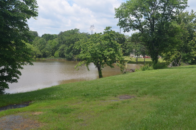 Cutright Lake view